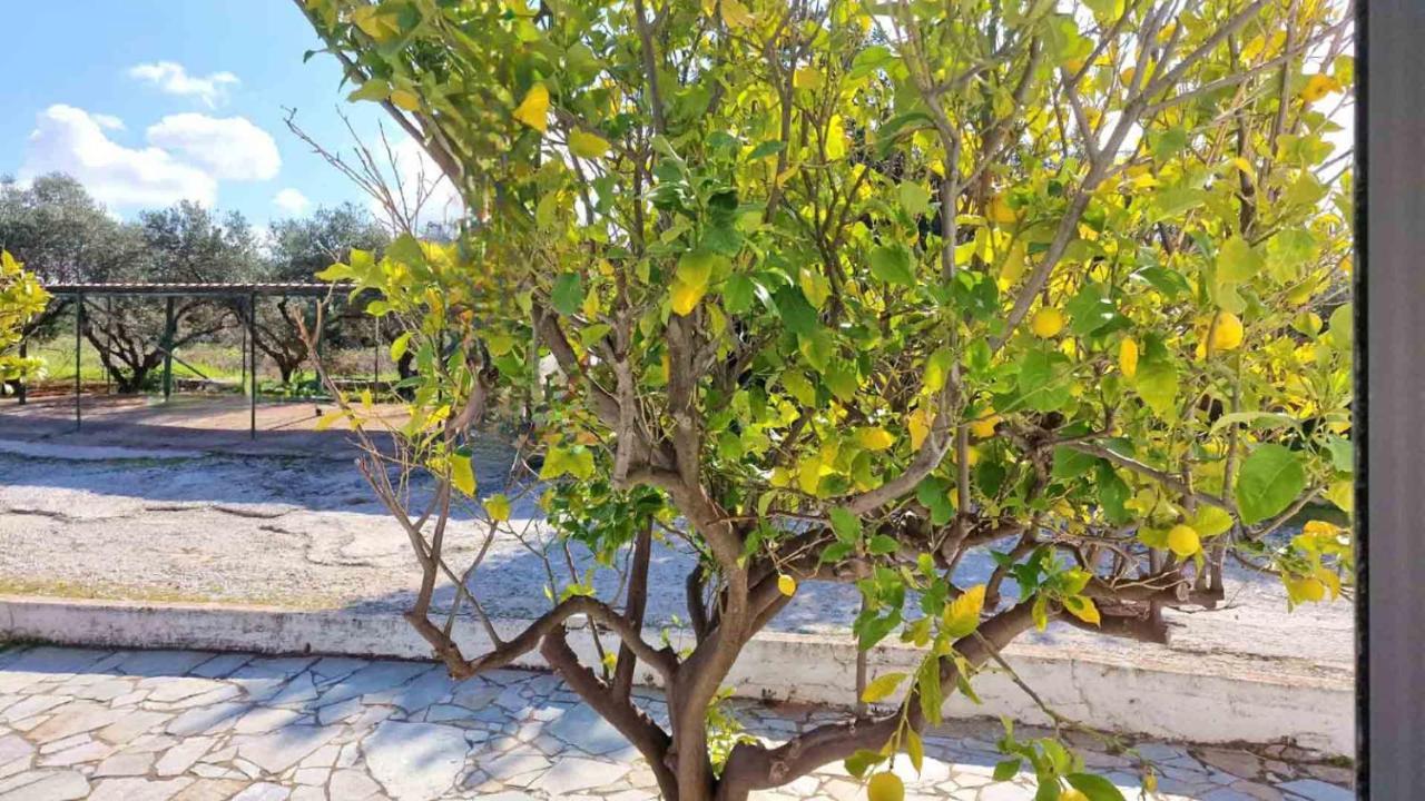 My Cretan Village By Go4Sea Chorafakia Extérieur photo